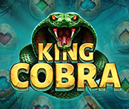 King Cobra