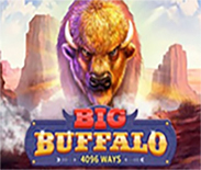 Big Buffalo